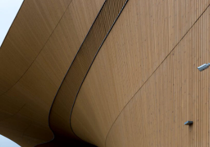 Seguridad negligente