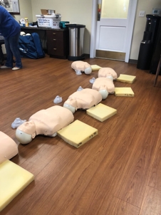 CPR dummies lined up for First Aid training.
