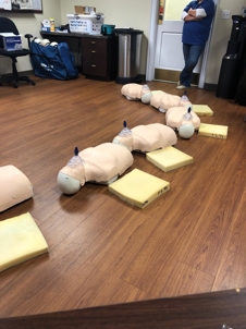 CPR dummies with breathing masks on.