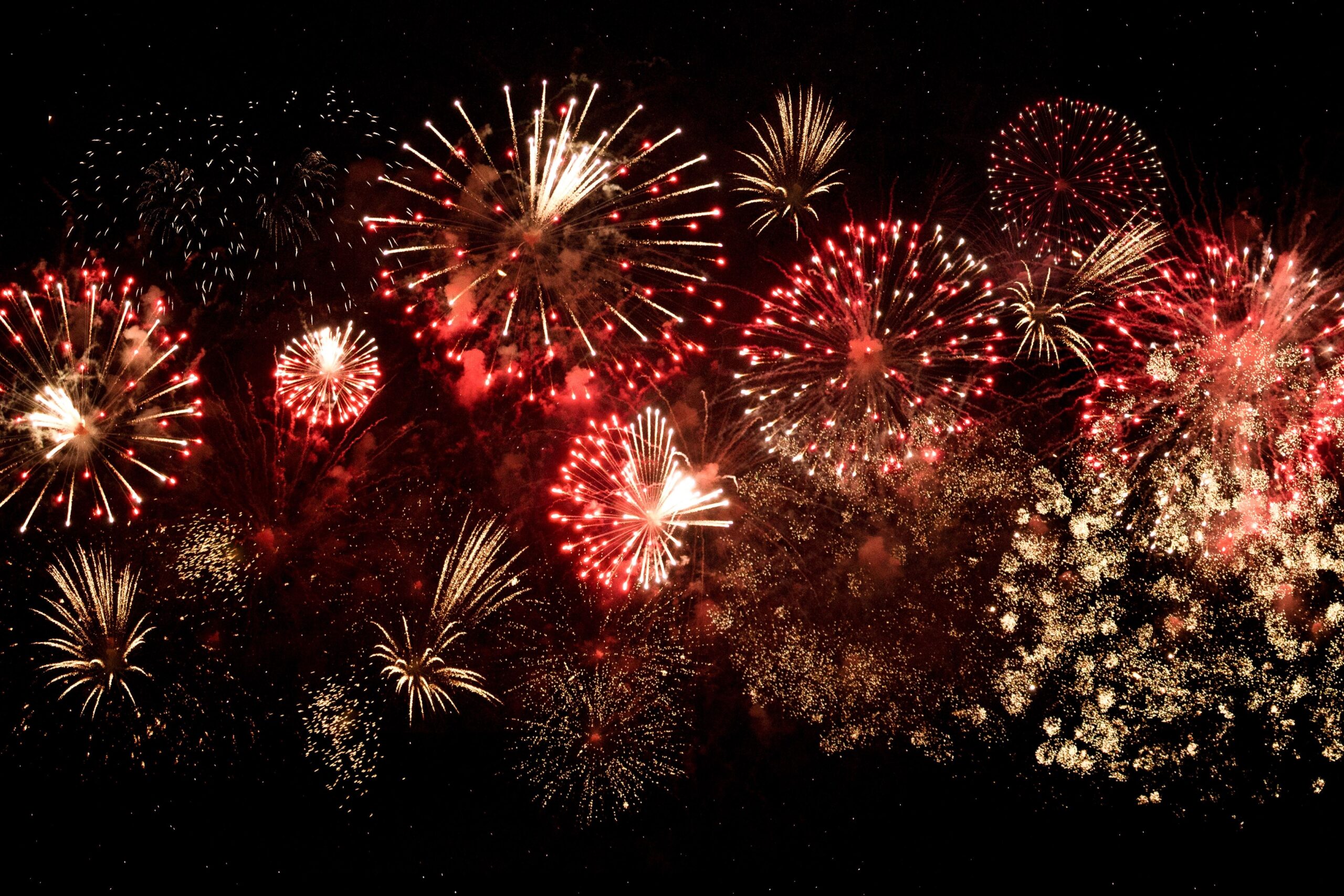 designecologist-5mj5jLhYWpY-unsplash.2308010917550-1