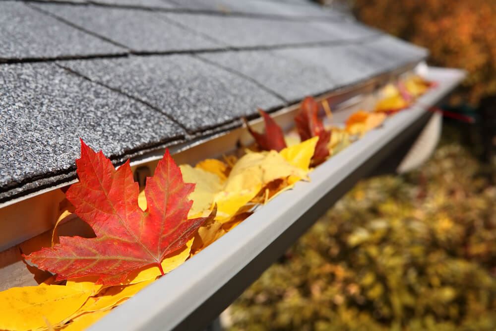 gutter.2002111200550-2